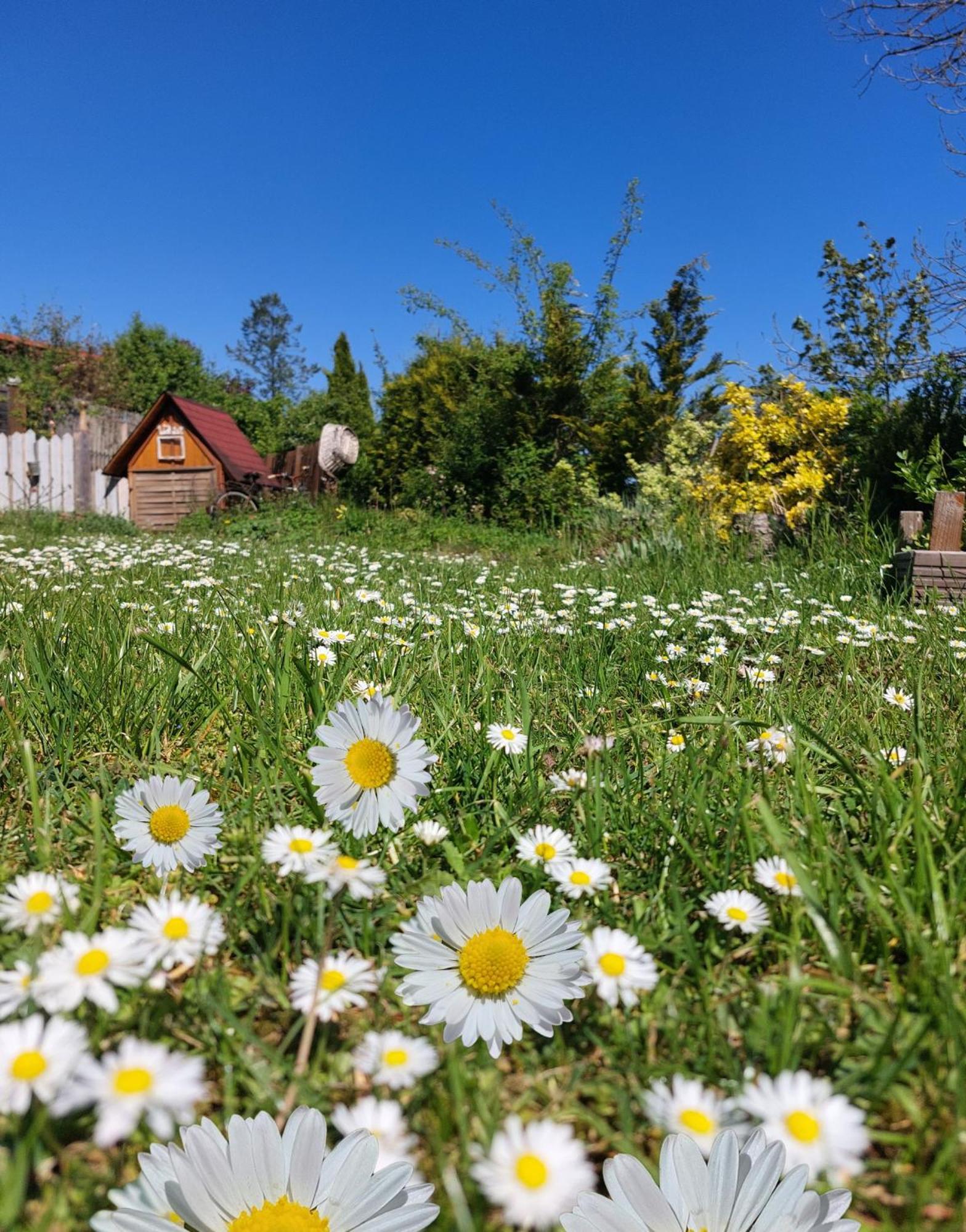 Ferienhaus Nr 2 - Das Kleine Haus Im Haus Heiligenstadt in Oberfranken Eksteriør billede